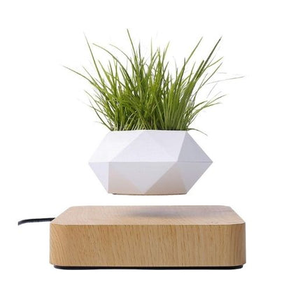 Levitating Flower Pot